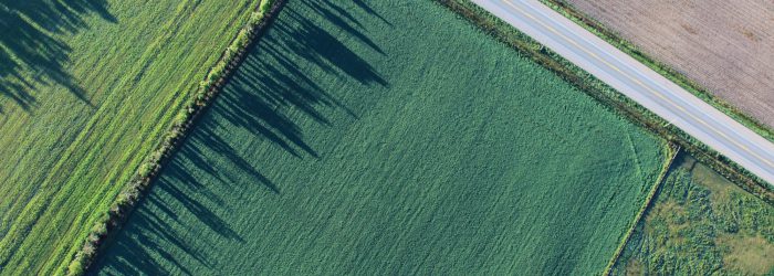 Działki na sprzedaż Margo Deweloper Działki nieruchomości na sprzedaż Margo Deweloper Gdynia